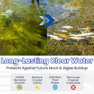 HydroCore – Dual Bio Pond Cleaner