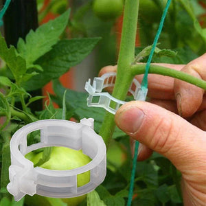 StemHold – Reusable Clips for Upright Plants