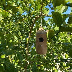 HummiNest – Wooden Hanging Hummingbird Feeder