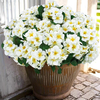 EverBloom – Artificial Geranium Outdoor Flowers