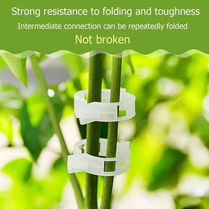 Plant Support Clips marnetic