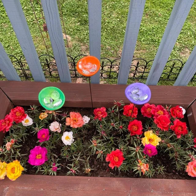 FlutterQuench – Complete Garden Drink Station Set