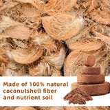 CocoBloom – Organic Coconut Coir Bricks for Healthy Plant Growth
