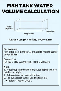AquaPure – Water Purification Tablets