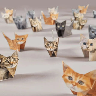 PaperPaws – A Cat Lover’s DIY Paradise