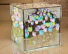 Blossom Box - Infinite Tulip Mirror Lamp