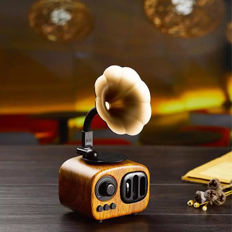 EchoGram - Vintage Wooden Bluetooth Speaker