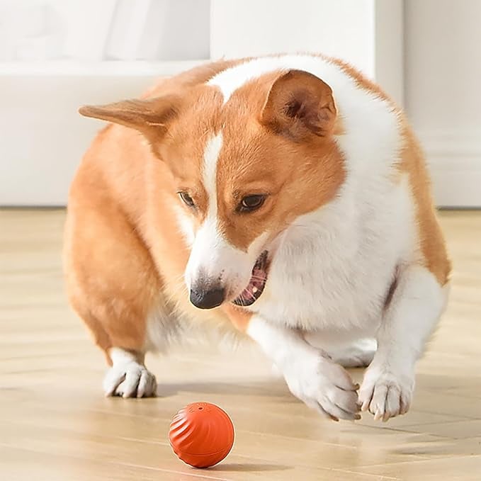 BarkBounce - Interactive Dog Teasing Ball