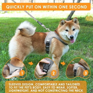 PawEase – Breathable Dog Harness Set