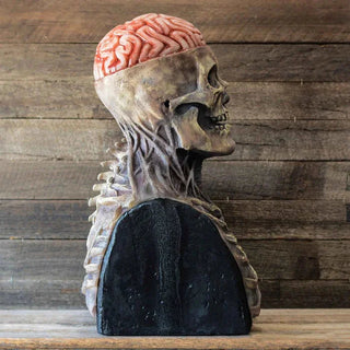 Spooky Biochemical Skeleton Mask marnetic
