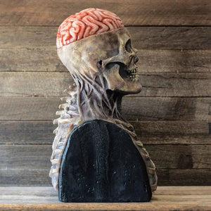 Spooky Biochemical Skeleton Mask marnetic