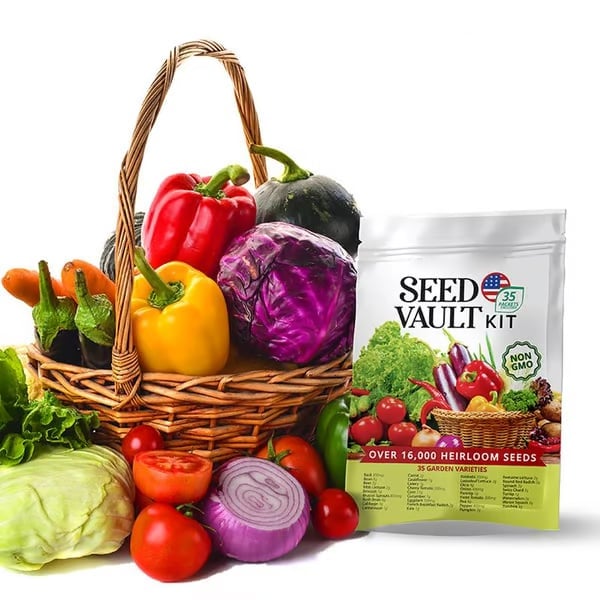 GreenShield – Survival Seed Vault for Long-Term Food Security