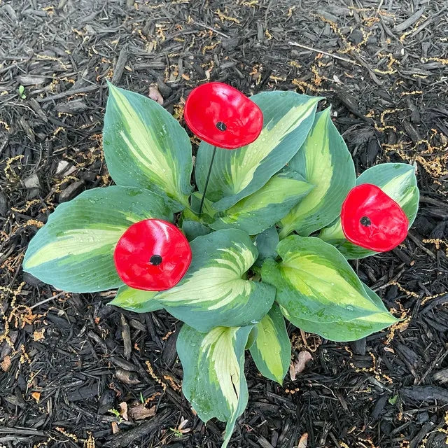 FlutterQuench – Complete Garden Drink Station Set