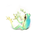 FrogGlam - Elegant Tree Frog Ring & Earrings