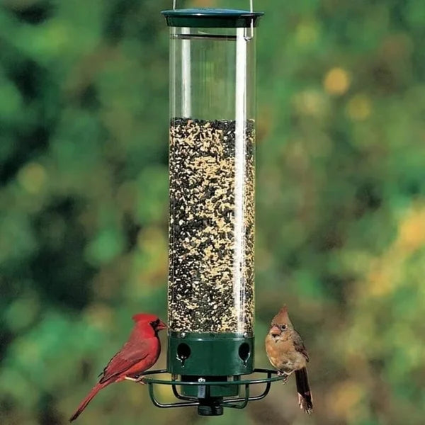 Squirrel Proof Automatic Bird Feeder – marnetic