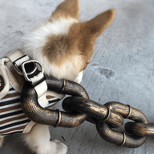 FlexChain – Life-Like Iron Chain Dog Leash for Strong Control