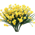 Yellow Narcissus