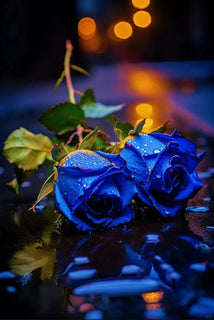 💙 BlueEnchantress – Classic Blue Rose Seeds for Mystical Garden Blooms