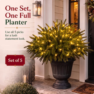 GlowPine – Pre-Lit Christmas Evergreen Pine Picks, Set of 5