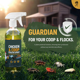 ⚡🐔 CoopGuard – Natural Plant-Based Spray for the Chicken Coop