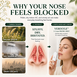 BreezeMist – Herbal Nasal Nebulizer Set for Allergy & Rhinitis Discomfort