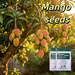 🥭 Golden Honey Mango Seeds – Grow Sweet Mangoes at Home