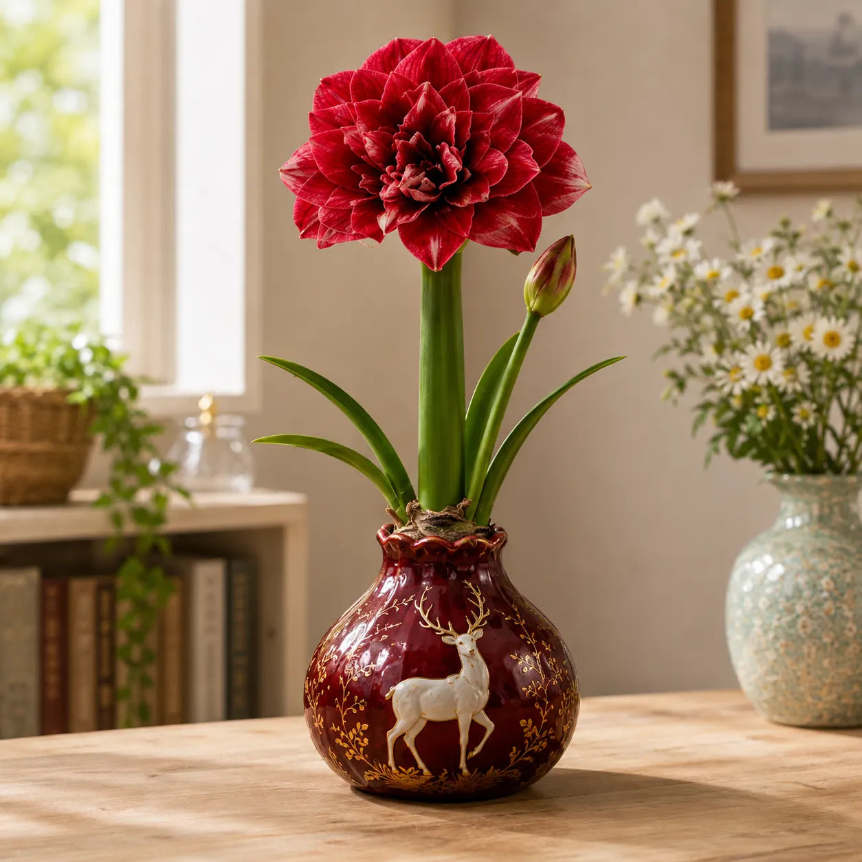 BloomWax – 🔥 No Soil! No Water! Just Blooms! 🌺 Waxed Double Amaryllis Bulbs