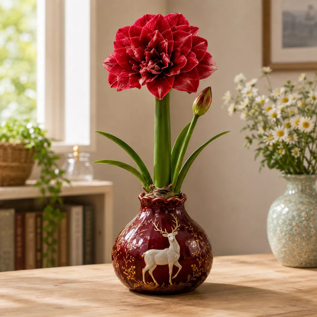 BloomWax – 🔥 No Soil! No Water! Just Blooms! 🌺 Waxed Double Amaryllis Bulbs