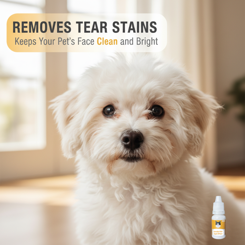 ClearGaze – Gentle Plant-Based Eye Drops for Cats & Dogs