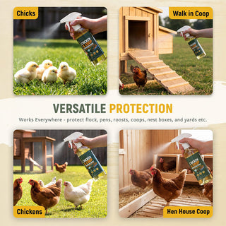 ⚡🐔 CoopGuard – Natural Plant-Based Spray for the Chicken Coop