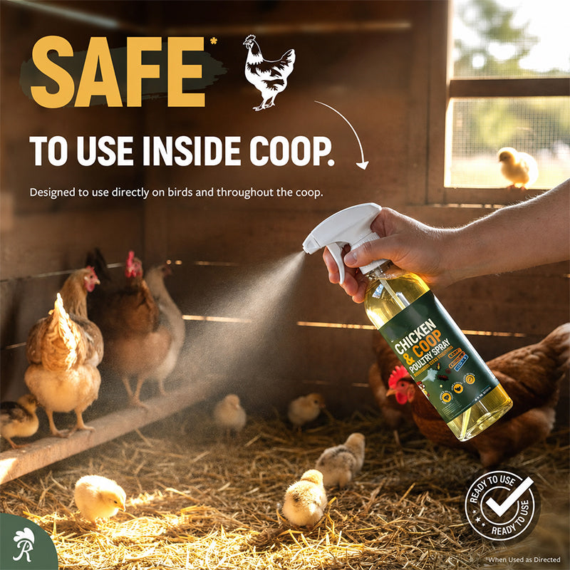 ⚡🐔 CoopGuard – Natural Plant-Based Spray for the Chicken Coop