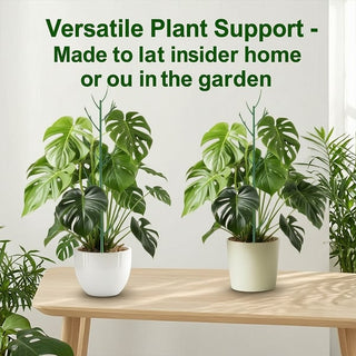 🌱 Adjustable Climbing Plant Stakes – Natural‑Look, Tool‑Free Support for Indoor & Outdoor Vertical Growth