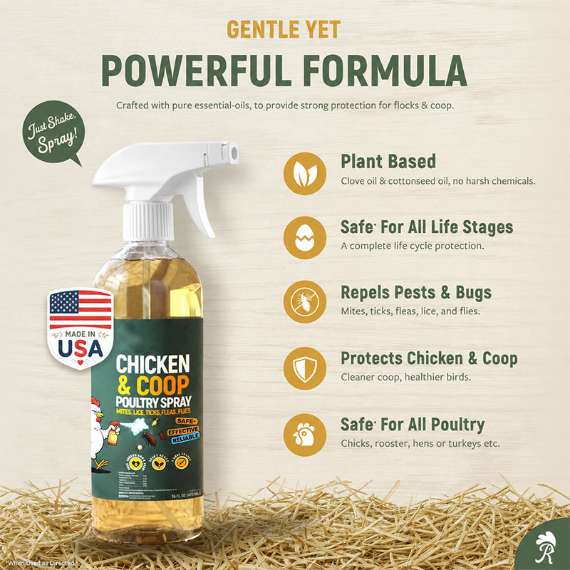 ⚡🐔 CoopGuard – Natural Plant-Based Spray for the Chicken Coop