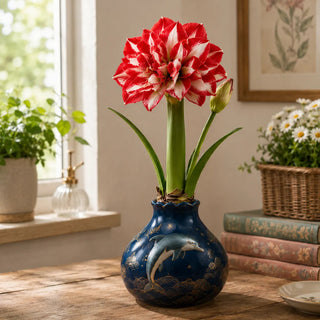 BloomWax – 🔥 No Soil! No Water! Just Blooms! 🌺 Waxed Double Amaryllis Bulbs
