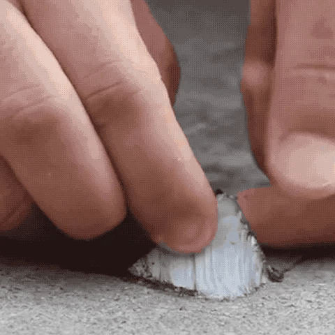SealGuard – 🔥 Super Waterproof Tape for Damage Repair with Waterproof Protection