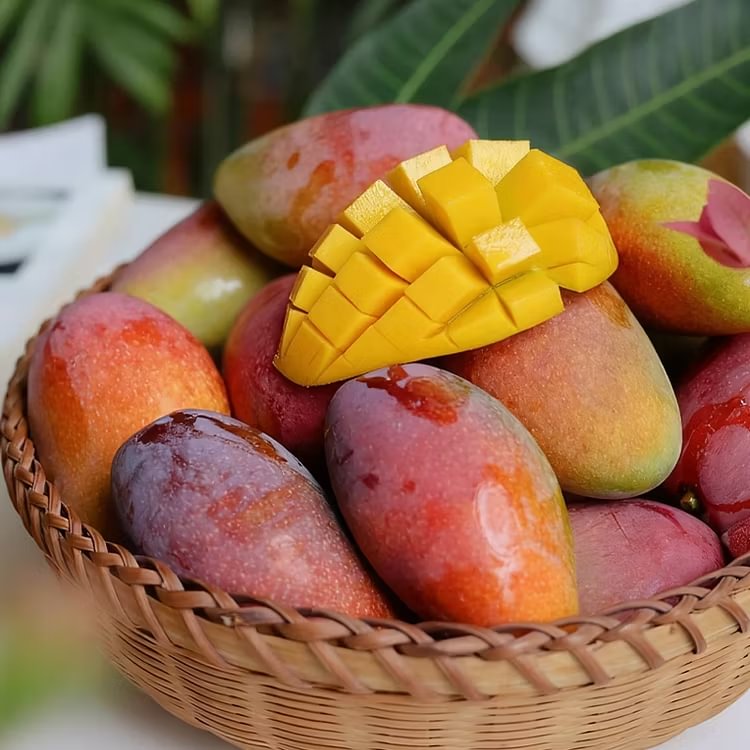 🌴 Silky-Sweet & Juicy Mango Tree Seeds – Tropical Flavor at Home 🌴