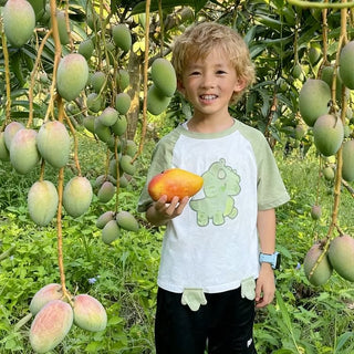 🌴 Silky-Sweet & Juicy Mango Tree Seeds – Tropical Flavor at Home 🌴