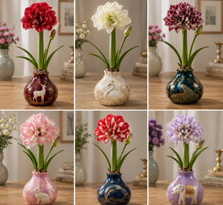 BloomWax – 🔥 No Soil! No Water! Just Blooms! 🌺 Waxed Double Amaryllis Bulbs
