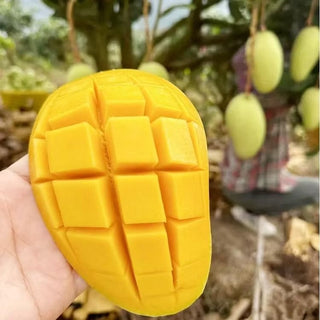 🌴 Silky-Sweet & Juicy Mango Tree Seeds – Tropical Flavor at Home 🌴