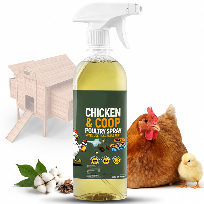 ⚡🐔 CoopGuard – Natural Plant-Based Spray for the Chicken Coop