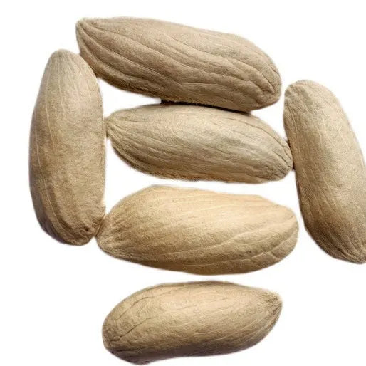 🥭 HoneyMango – Golden Honey Dwarf Mango Tree Seeds