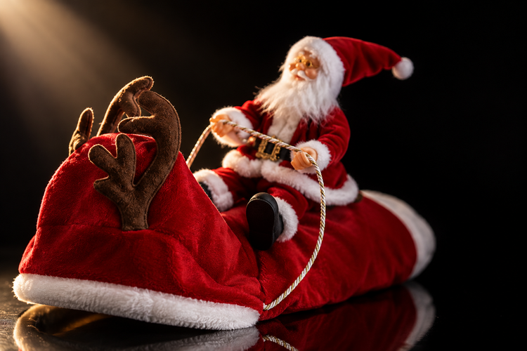 SleighPup – ✨✨ Santa Sleigh Dog Costume