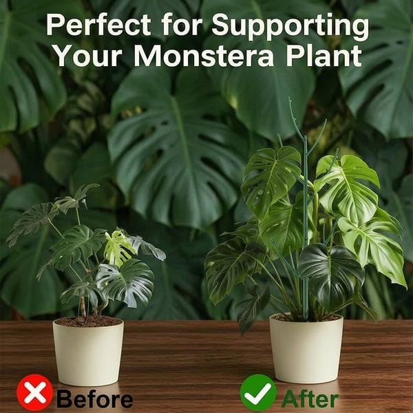 🌱 Adjustable Climbing Plant Stakes – Natural‑Look, Tool‑Free Support for Indoor & Outdoor Vertical Growth