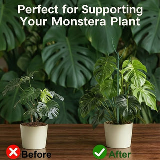 🌱 Adjustable Climbing Plant Stakes – Natural‑Look, Tool‑Free Support for Indoor & Outdoor Vertical Growth