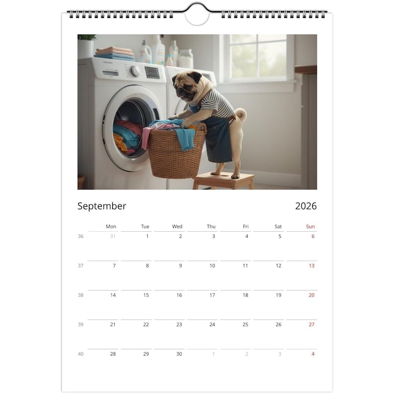 Daily Puggles - 365 Days of Cuteness