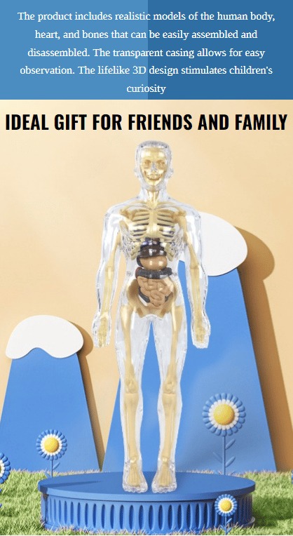 AnatoGenius - Human Body Construction Toy