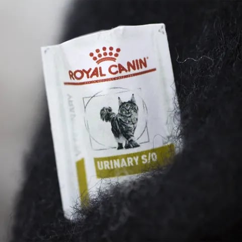 🎁Wool Felt Familiars – Quirky Handmade Companions🐱