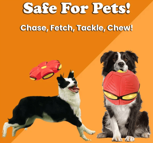 PupGlide – Transforming Disc Ball Toy for Dogs