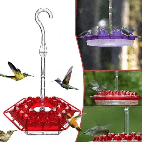 SkySip | Charming Outdoor Hanging Hummingbird Feeder