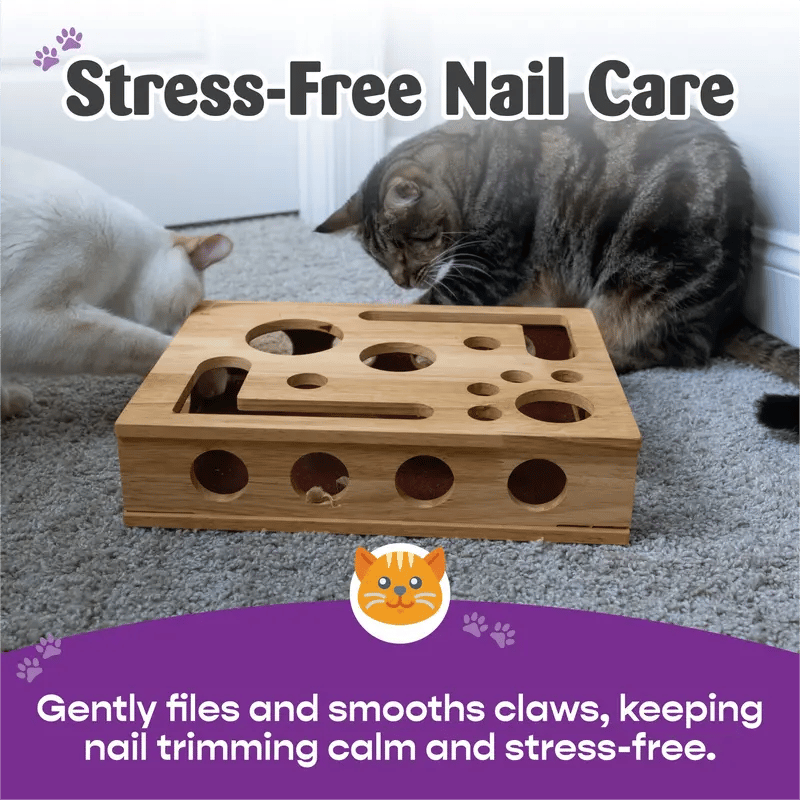 PawSense - Cat Enrichment File Box | The Fun Way To Trim Claws